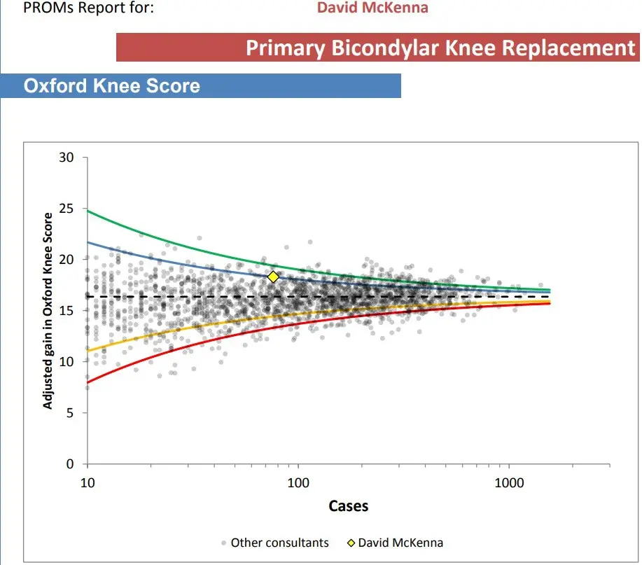 primary-bicondylar-knee-replacement